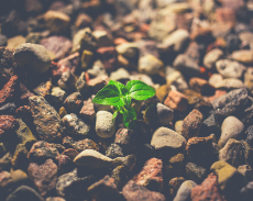 新商品！！手形足形　命名書　