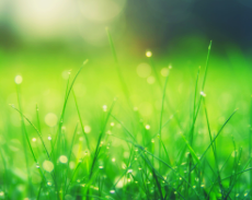 生後7ヶ月の手型