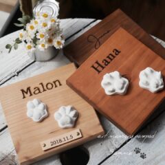 ペット足形アート『 Sagina 〜サギナ〜』