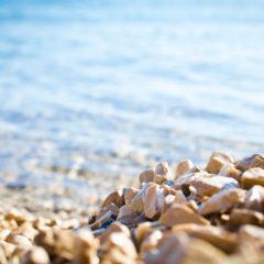 お盆休みのお知らせ