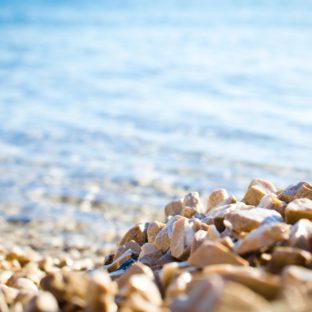 お盆休みのお知らせ