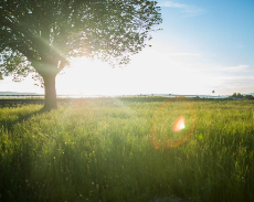 新商品！真鍮でできた犬猫の足形キーホルダー