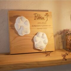 足形アート『sagina』アレンジ仕様