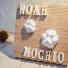 足形アート『sagina』アレンジ作品