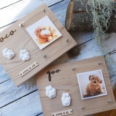 popolus~ポポラス~　型取り動画のご案内🐾