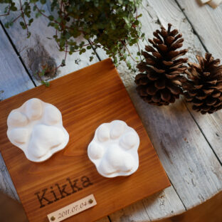 sagina〜サギナ〜秋田犬